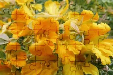 amancay jigsaw puzzle