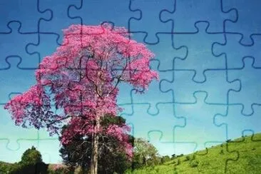 imagens jigsaw puzzle