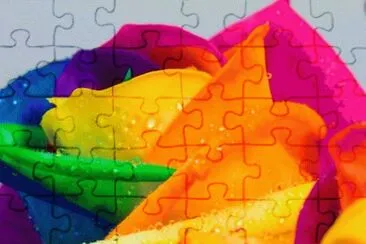 Colors jigsaw puzzle