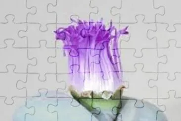 flores jigsaw puzzle