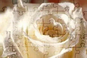 flores jigsaw puzzle