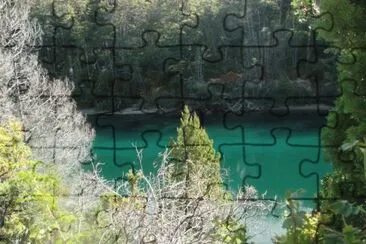 Lago Verde. Chubut. Argentina jigsaw puzzle