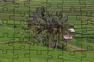 imagens