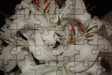azucenas jigsaw puzzle