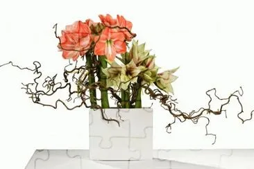 imagens jigsaw puzzle