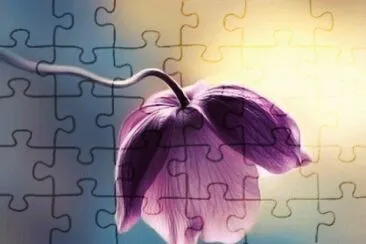 ä¸–ç•Œé¢¨æ™¯ jigsaw puzzle