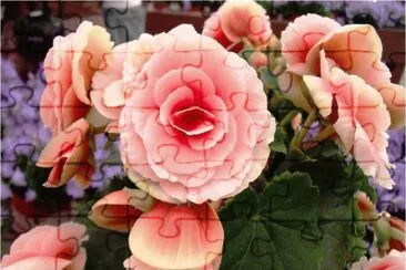 summer-130 jigsaw puzzle