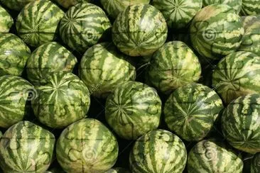 Sandias jigsaw puzzle