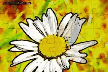 10 jigsaw puzzle