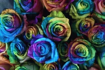 imagenes bonitas jigsaw puzzle