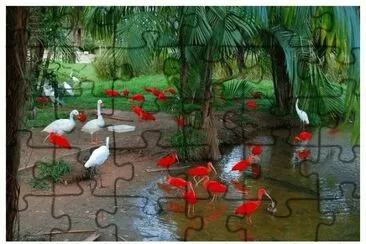 פאזל של Scarlet Ibis and Waterbirds-Brazil