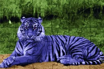 פאזל של Purple Tiger in Amazon Rain Forest