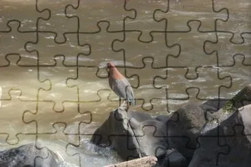 hocÃ³