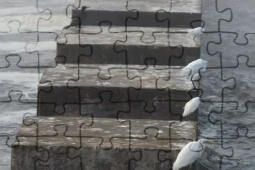 escalera jigsaw puzzle