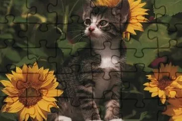 פאזל של entre girasoles