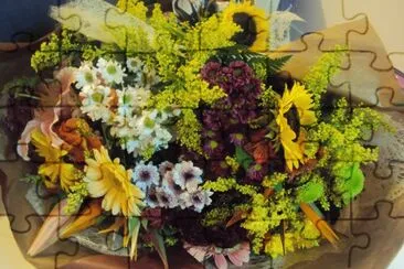 Flores