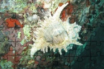 china sea jigsaw puzzle