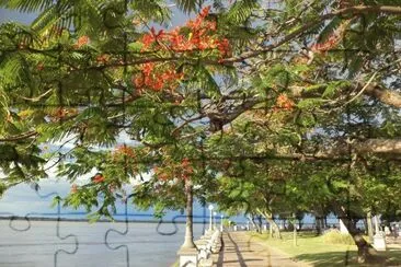 Costanera en Corrientes. Argentina jigsaw puzzle