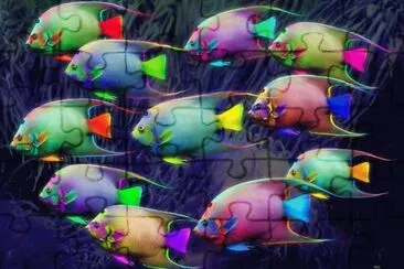 פאזל של color fish