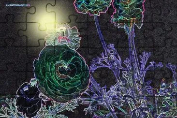 19 jigsaw puzzle