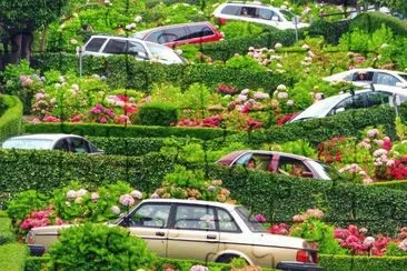 497 jigsaw puzzle