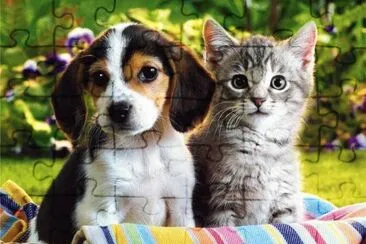 פאזל של Animais