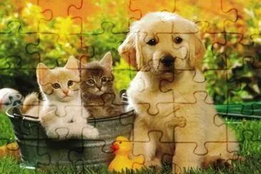 Animais jigsaw puzzle
