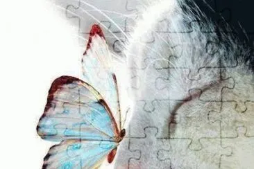 cat jigsaw puzzle