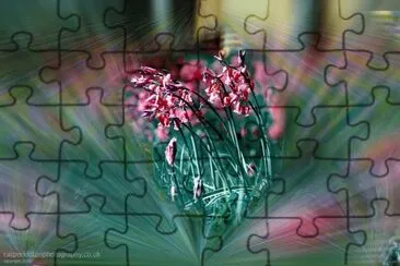 flora colour jigsaw puzzle