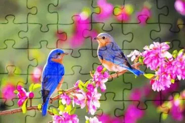 may26 jigsaw puzzle