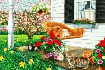 gatos jigsaw puzzle