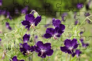 imagens jigsaw puzzle