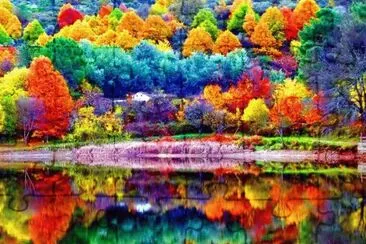 imagens jigsaw puzzle