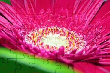 פאזל של Exotic Colorful
