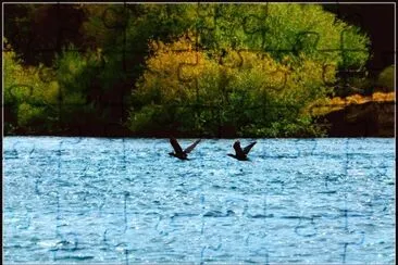 RÃ­o FutaleufÃº. Chubut. Argentina jigsaw puzzle