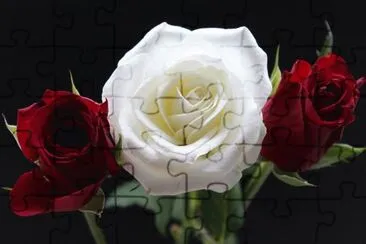  jigsaw puzzle