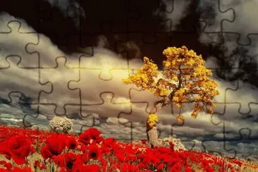  jigsaw puzzle
