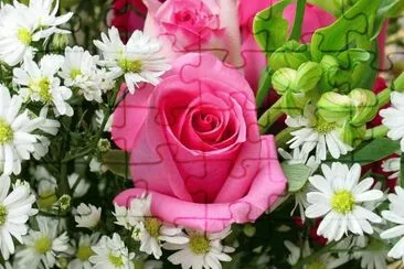  jigsaw puzzle