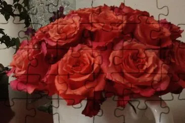  jigsaw puzzle