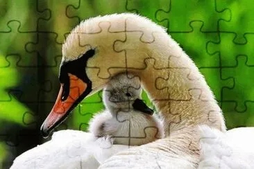 פאזל של mom#214