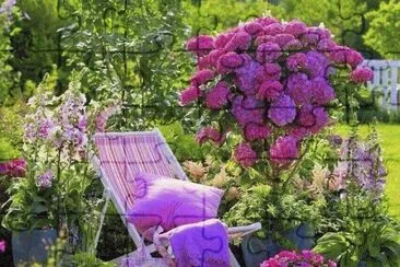 פאזל של Lilac