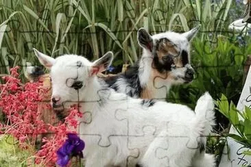 So cute jigsaw puzzle