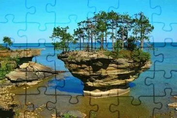 פאזל של NATUREZA