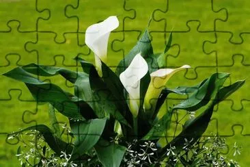 imagens jigsaw puzzle