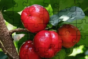 imagens jigsaw puzzle