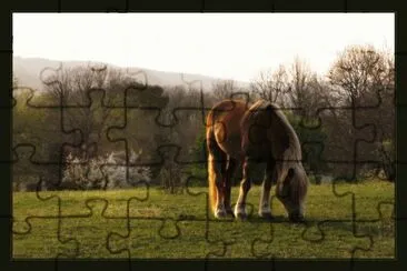 Kaylee jigsaw puzzle