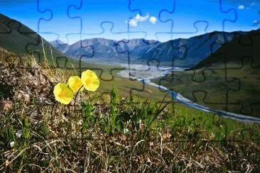 NATUREZA