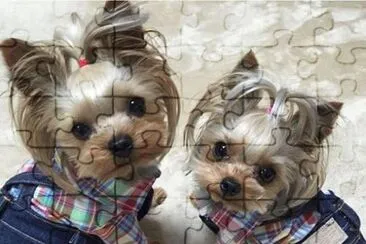 imagens jigsaw puzzle