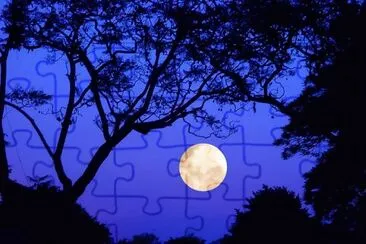 luna llena jigsaw puzzle