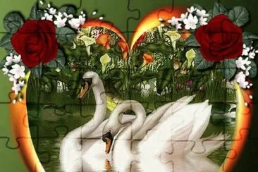 Swans